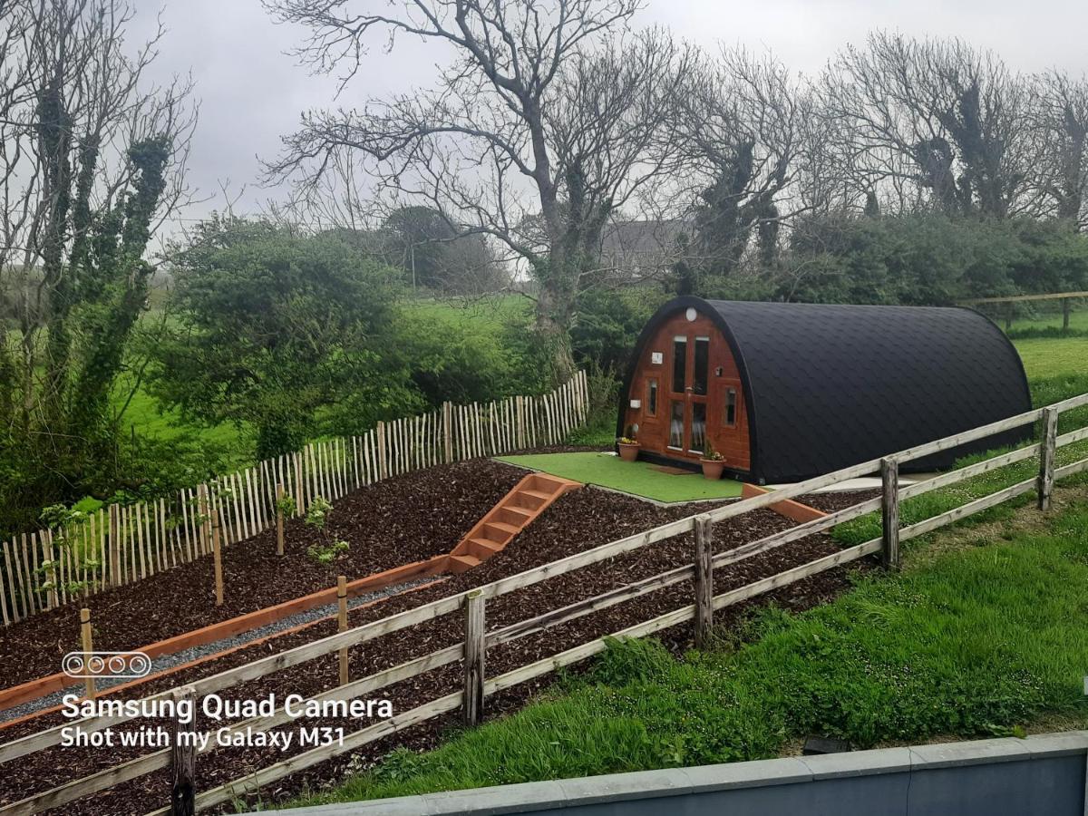 恩尼斯Ivy Hill Glamping Pod公寓 外观 照片