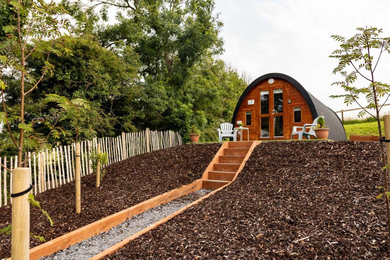 恩尼斯Ivy Hill Glamping Pod公寓 外观 照片