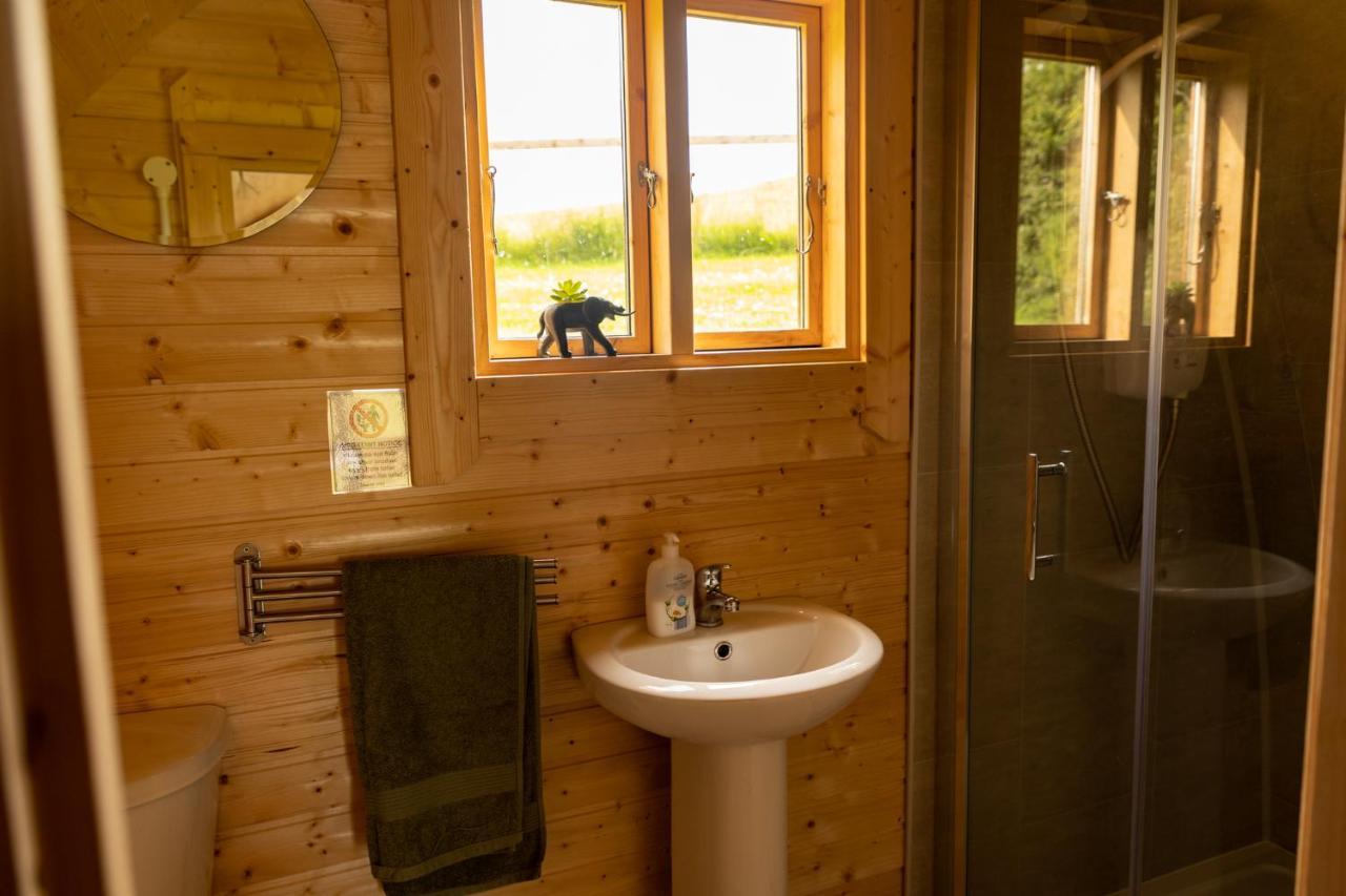 恩尼斯Ivy Hill Glamping Pod公寓 外观 照片